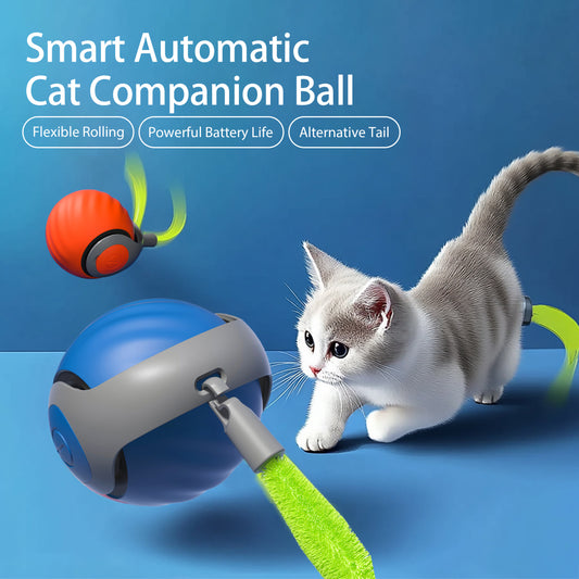 Electronic Cat Ball
