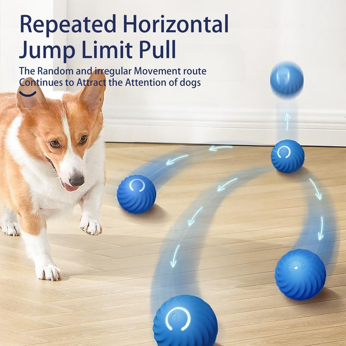 Electronic Interactive Dog Toy