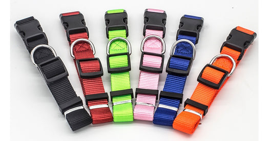 Dog collar