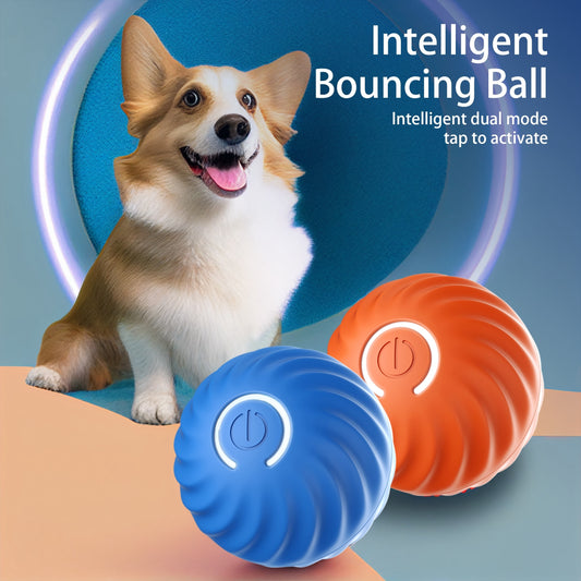 Electronic Interactive Dog Toy