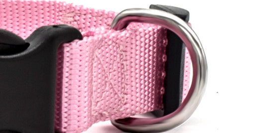 Dog collar
