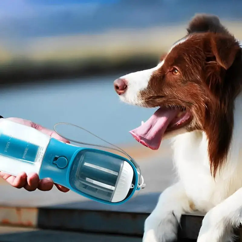 Three-in-one water bottle