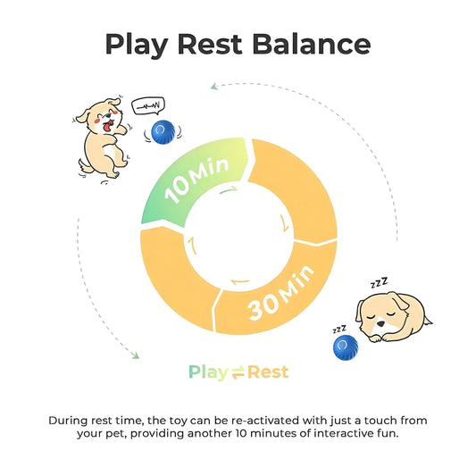 Electronic Interactive Dog Toy