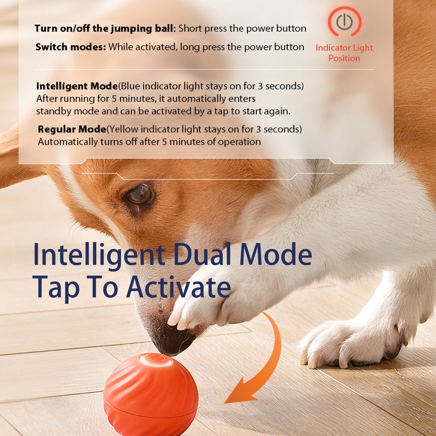 Electronic Interactive Dog Toy