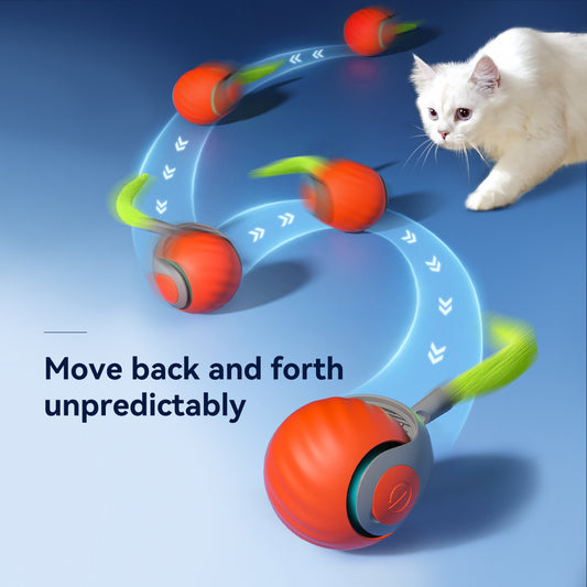 Electronic Cat Ball