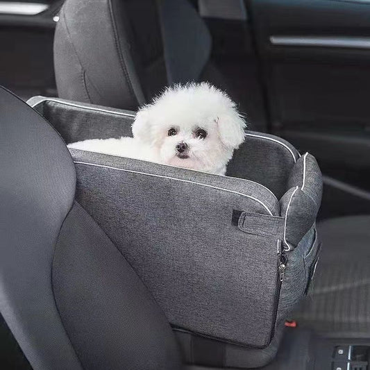 Ride along car seat